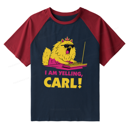 Pagewings Sci Fi Books Lover Raglan T-shirt