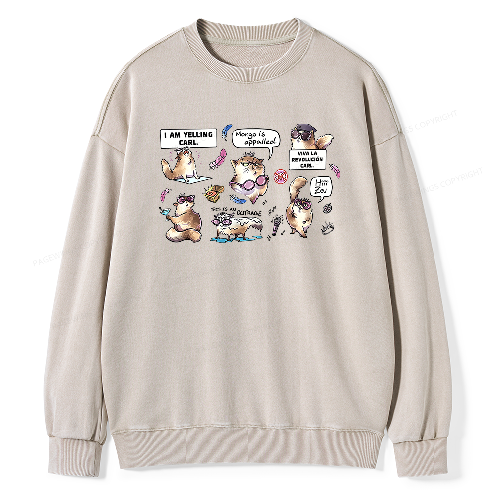 画板 10