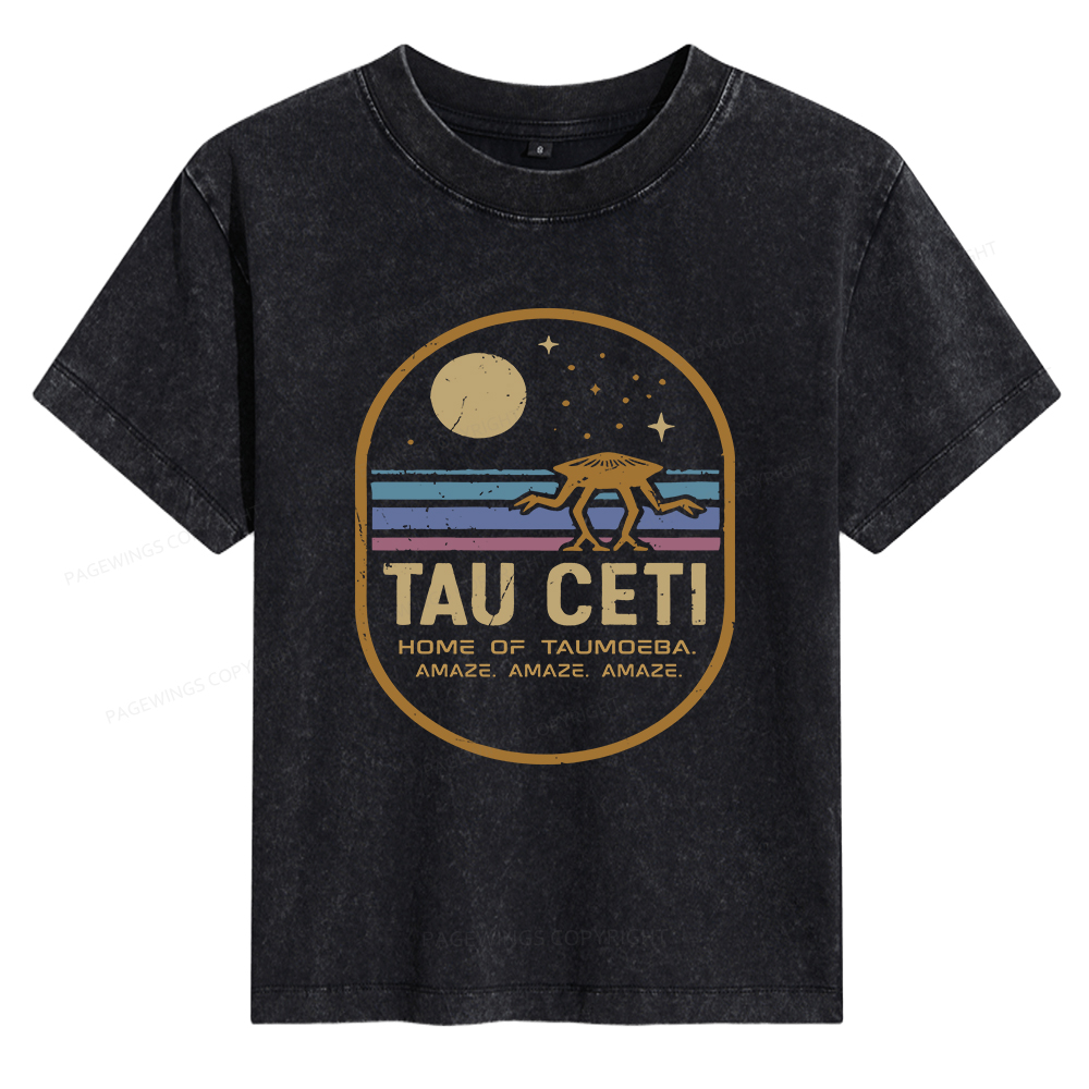 Pagewings Amaze Women's Washed T-shirt