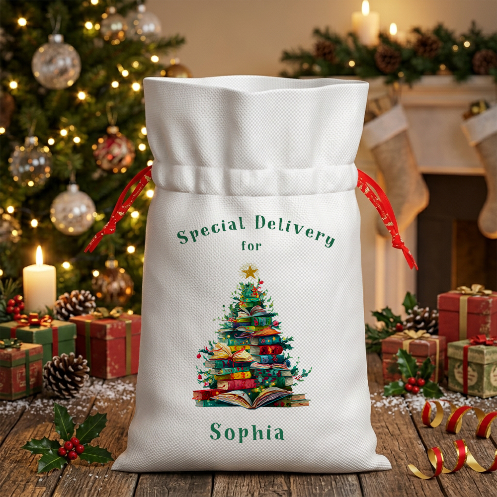 Pagewings Personalized Christmas Book Christmas Santa Sack