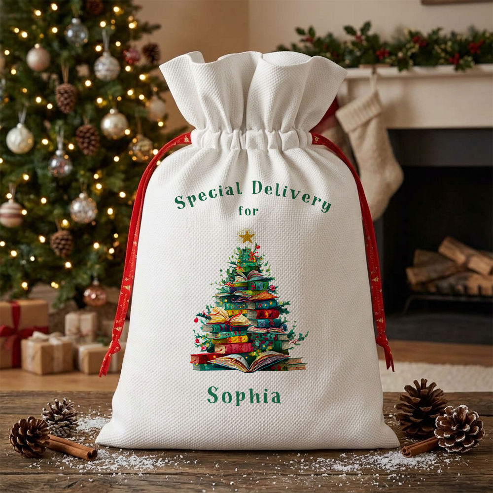 Pagewings Personalized Christmas Book Christmas Santa Sack