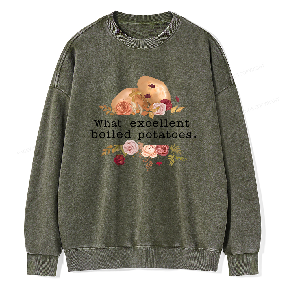 Pagewings Pride and Prejudice Unisex Washed Sweatshirt