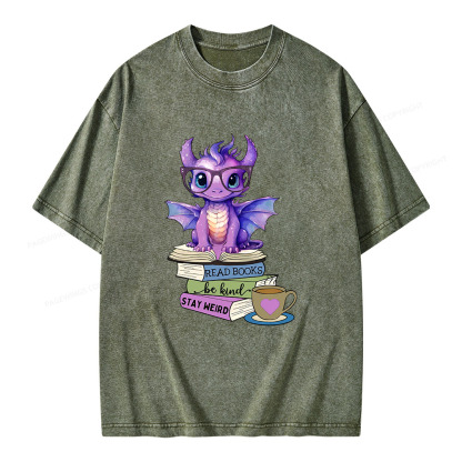 Pagewings Dragon Read Books Be Kind Stay Weird Unisex Washed T-shirt