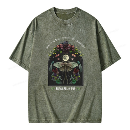 Pagewings Dark Academia Bookish Poe Unisex Washed T-shirt
