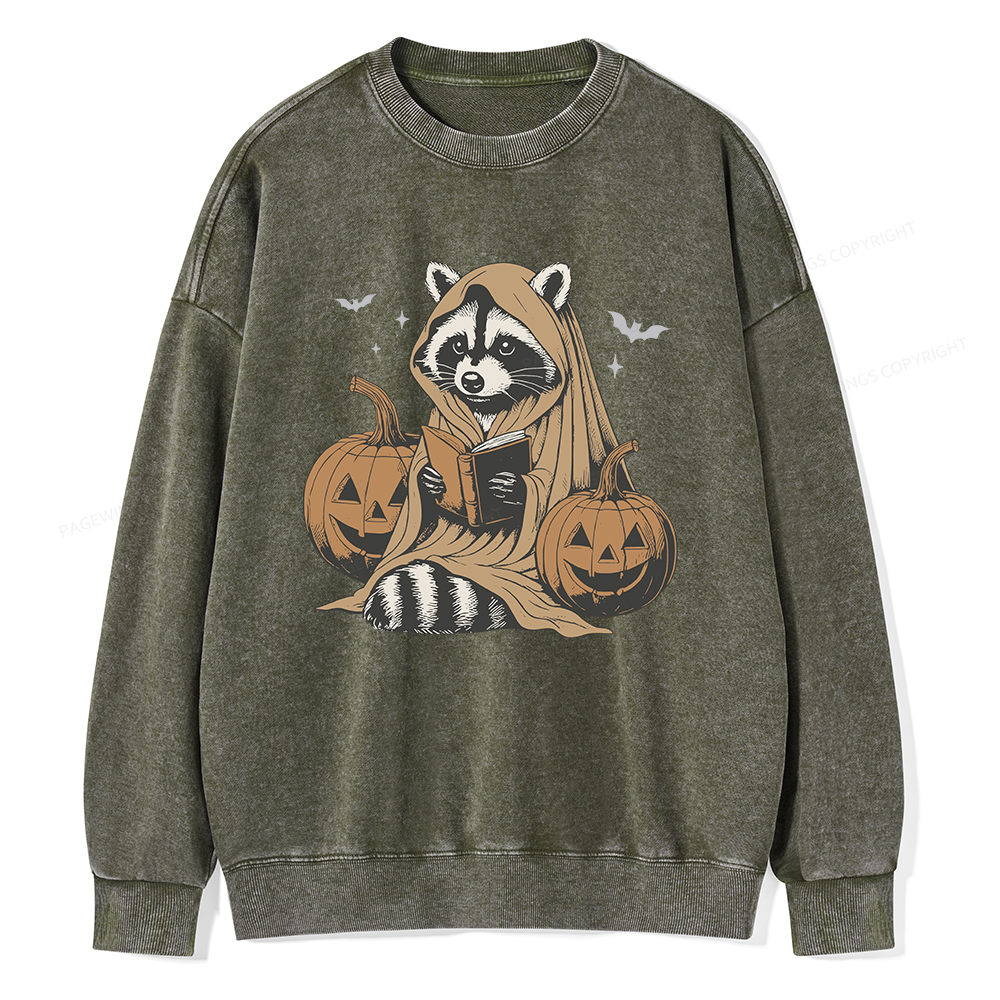 Pagewings Halloween Cute Raccoon Ghost Reading Unisex Washed Sweatshirt