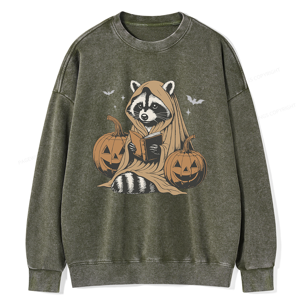Pagewings Halloween Cute Raccoon Ghost Reading Unisex Washed Sweatshirt