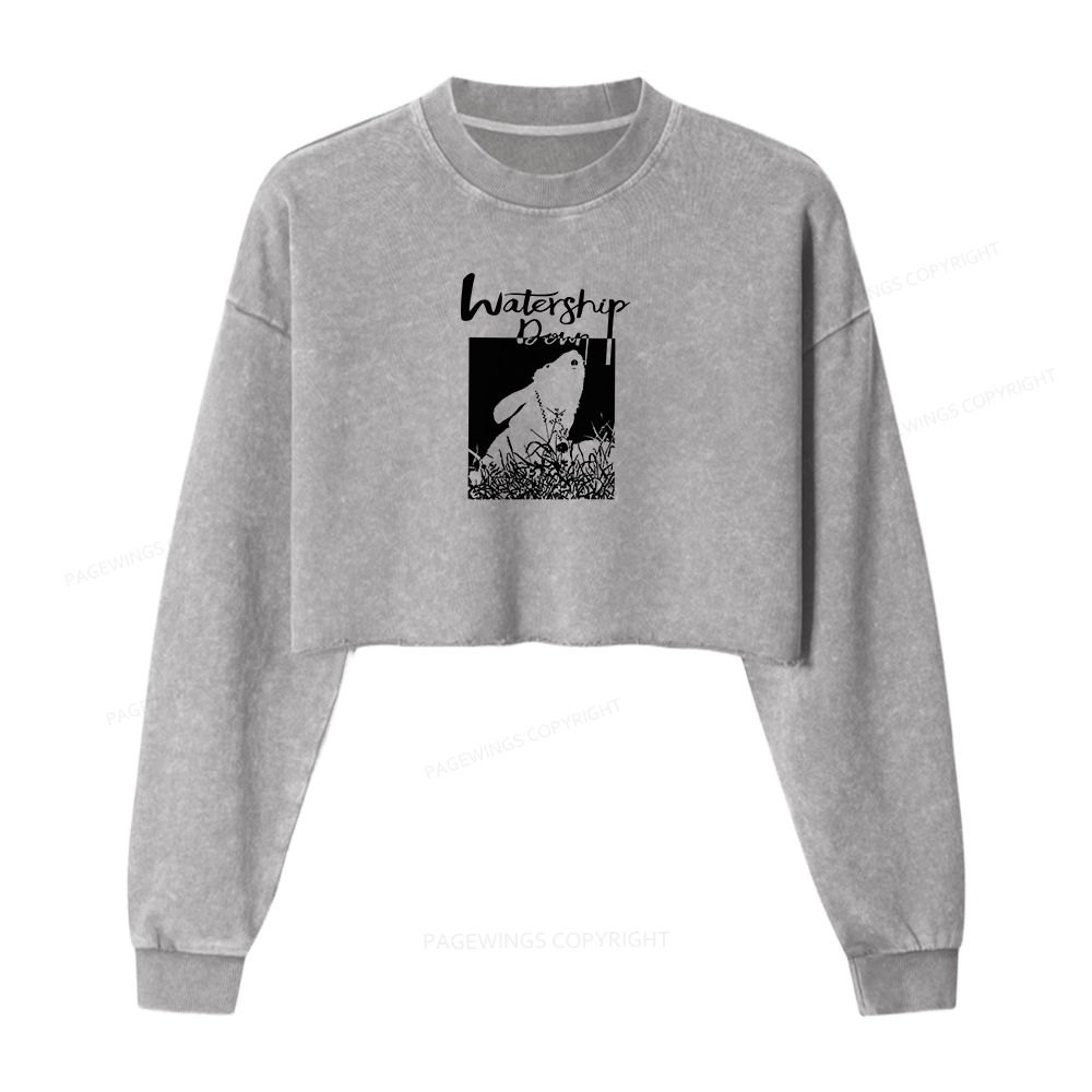 Pagewings Watership Women Washed Crop Sweatshirt