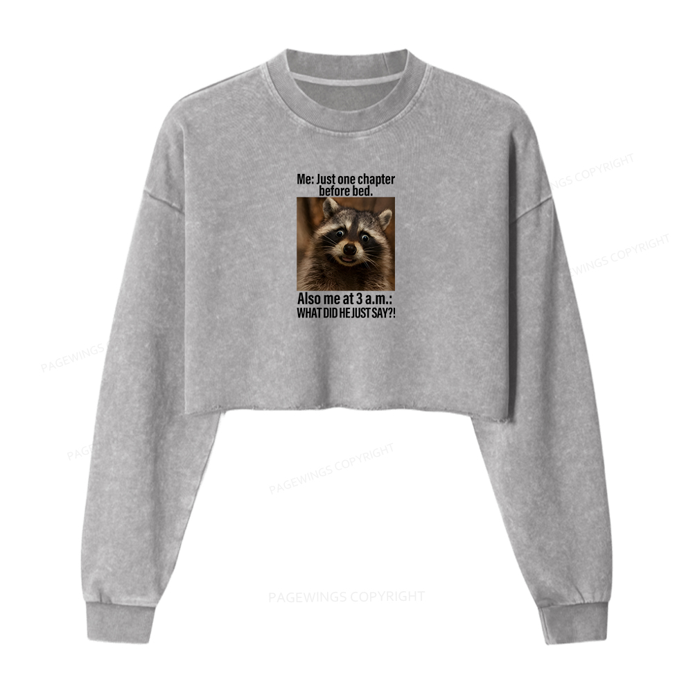 Pagewings Just One Chapter Before Bed. Women Washed Crop Sweatshirt