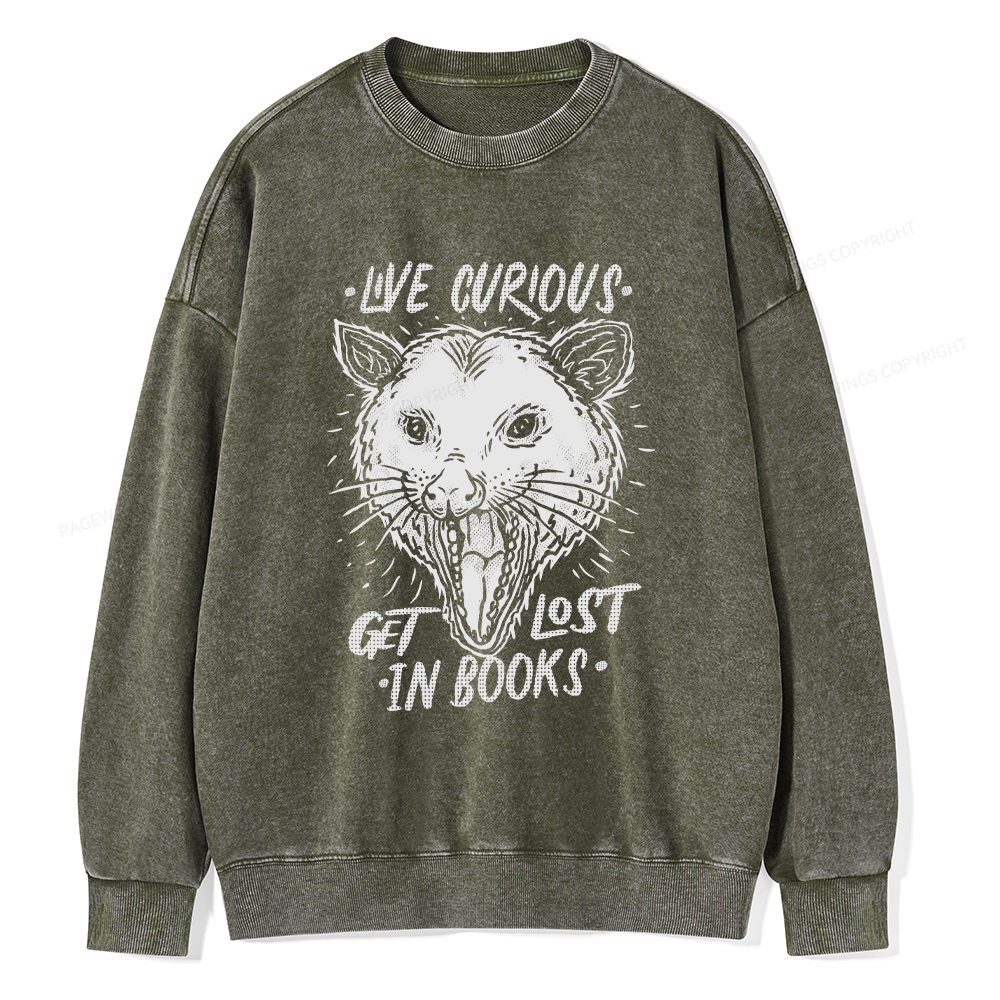 Pagewings Live Curious, Get Lost In Books Unisex Washed Sweatshirt