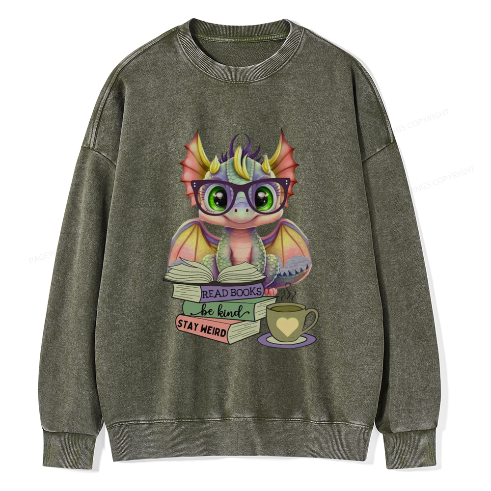 Pagewings Cute Dragon Reading Unisex Washed Sweatshirt