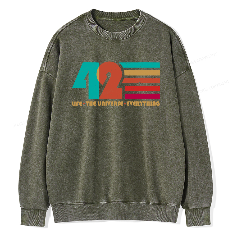 Pagewings The Life The Universe Everything Unisex Washed Sweatshirt