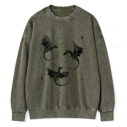 Pagewings Dragon Fantasy Unisex Washed Sweatshirt