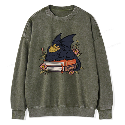 Pagewings Dragon Book Unisex Washed Sweatshirt
