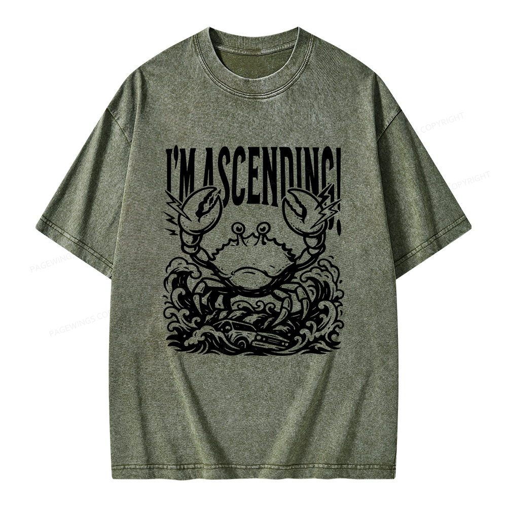 Pagewings I'm Ascending Vintage Unisex Washed T-shirt