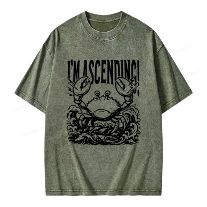 Pagewings I'm Ascending Vintage Unisex Washed T-shirt
