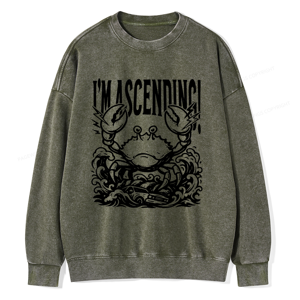 Pagewings I'm Ascending Vintage Unisex Washed Sweatshirt
