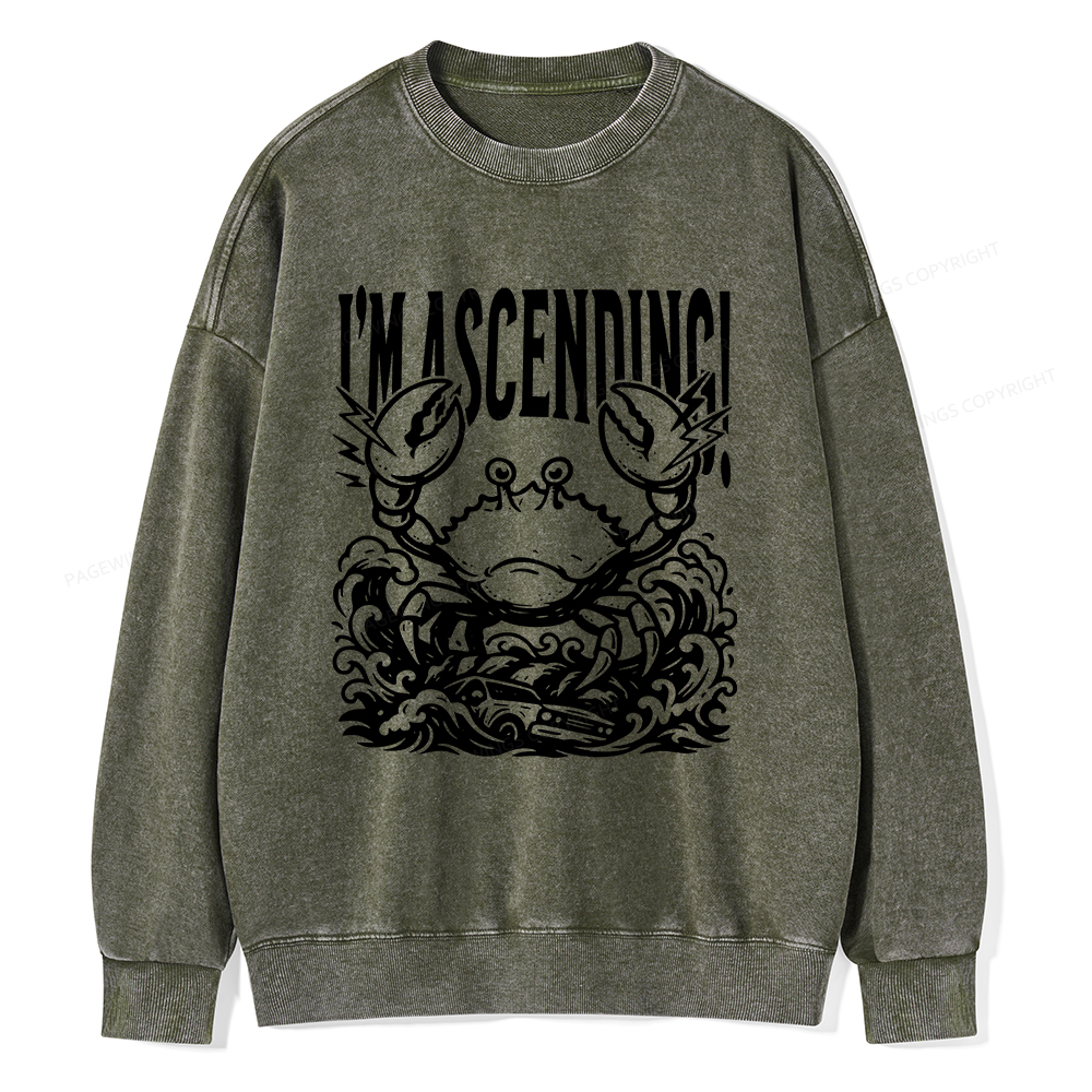 Pagewings I'm Ascending Vintage Unisex Washed Sweatshirt