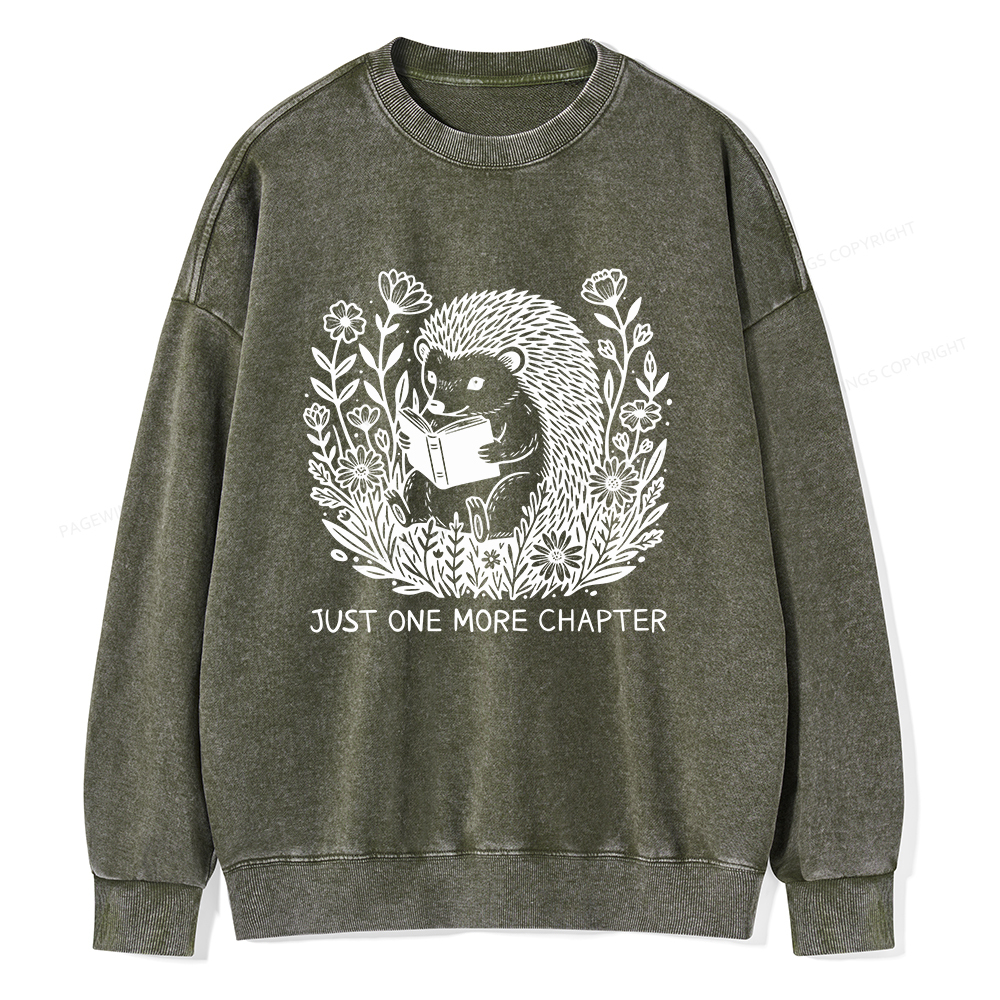 Pagewings Just One More Chapter Unisex Washed Sweatshirt