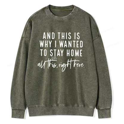 Pagewings And This Is Why I Wanted To Stay Home Unisex Washed Sweatshirt