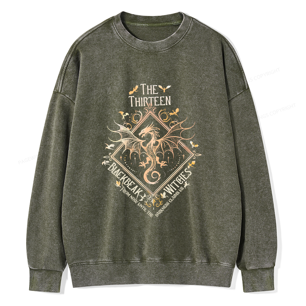 Pagewings Manon Blackbeak Unisex Washed Sweatshirt