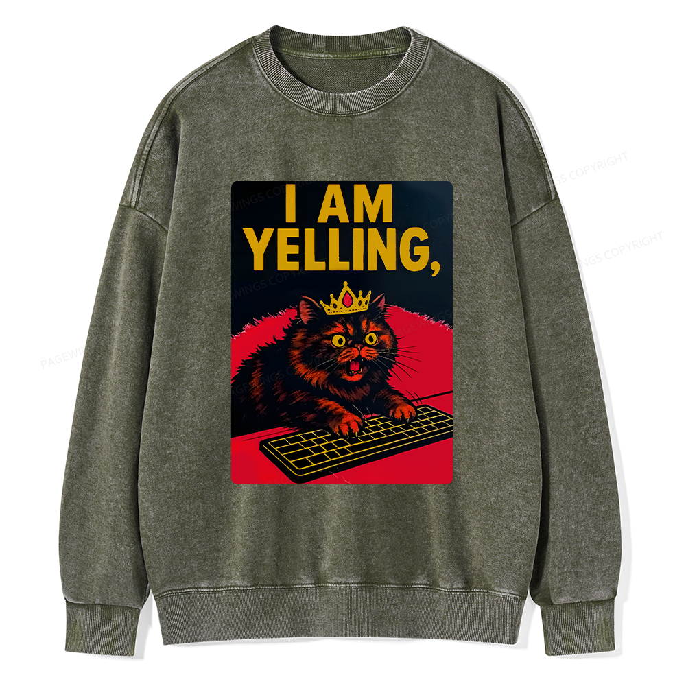 Pagewings Dungeon Crawler Carl Unisex Washed Sweatshirt