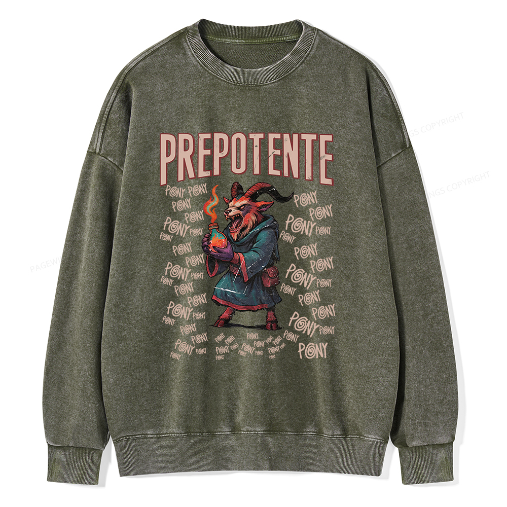 Pagewings Prepotente Unisex Washed Sweatshirt