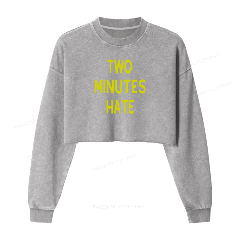Pagewings Two Minutes Hate Washed Crop Sweatshirt