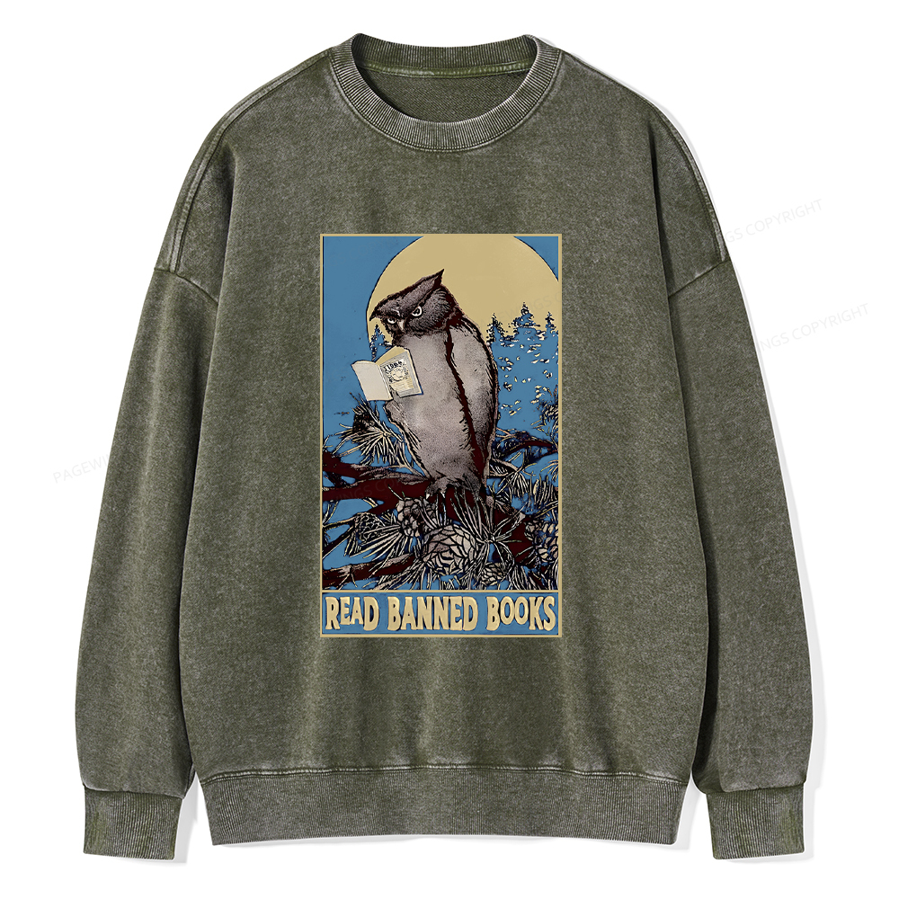 Pagewings Owl Read Banned Books Washed Sweatshirt