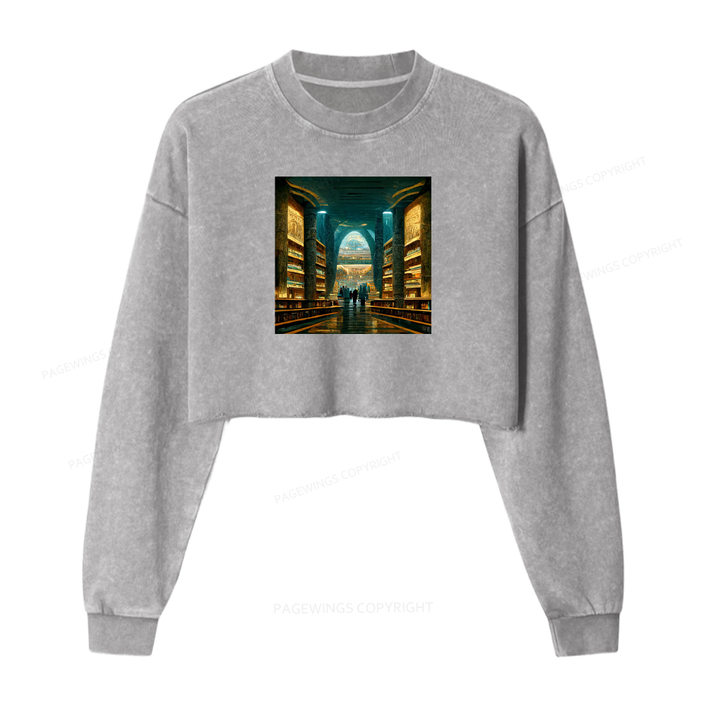 Pagewings Library Of Alexandria Premium Washed Crop Sweatshirt
