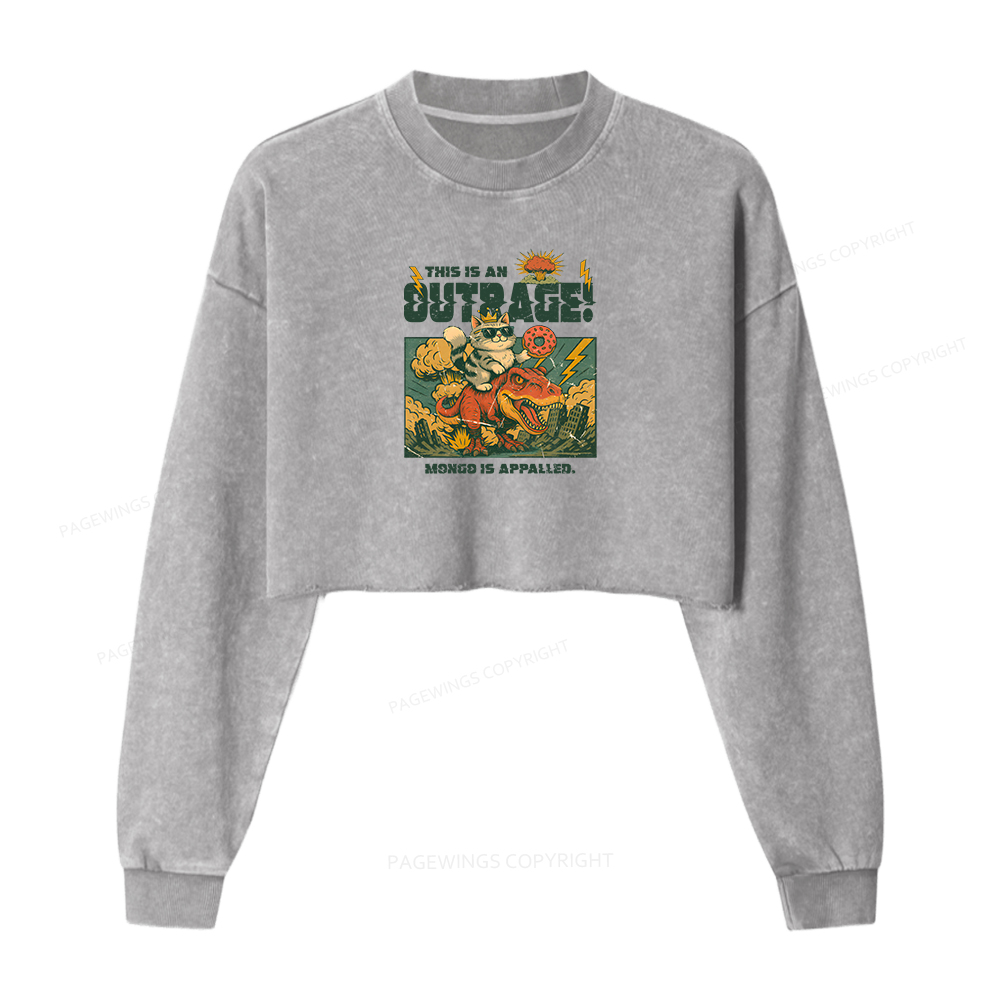 Pagewings This Is An Outrage Princess Donut Washed Crop Sweatshirt