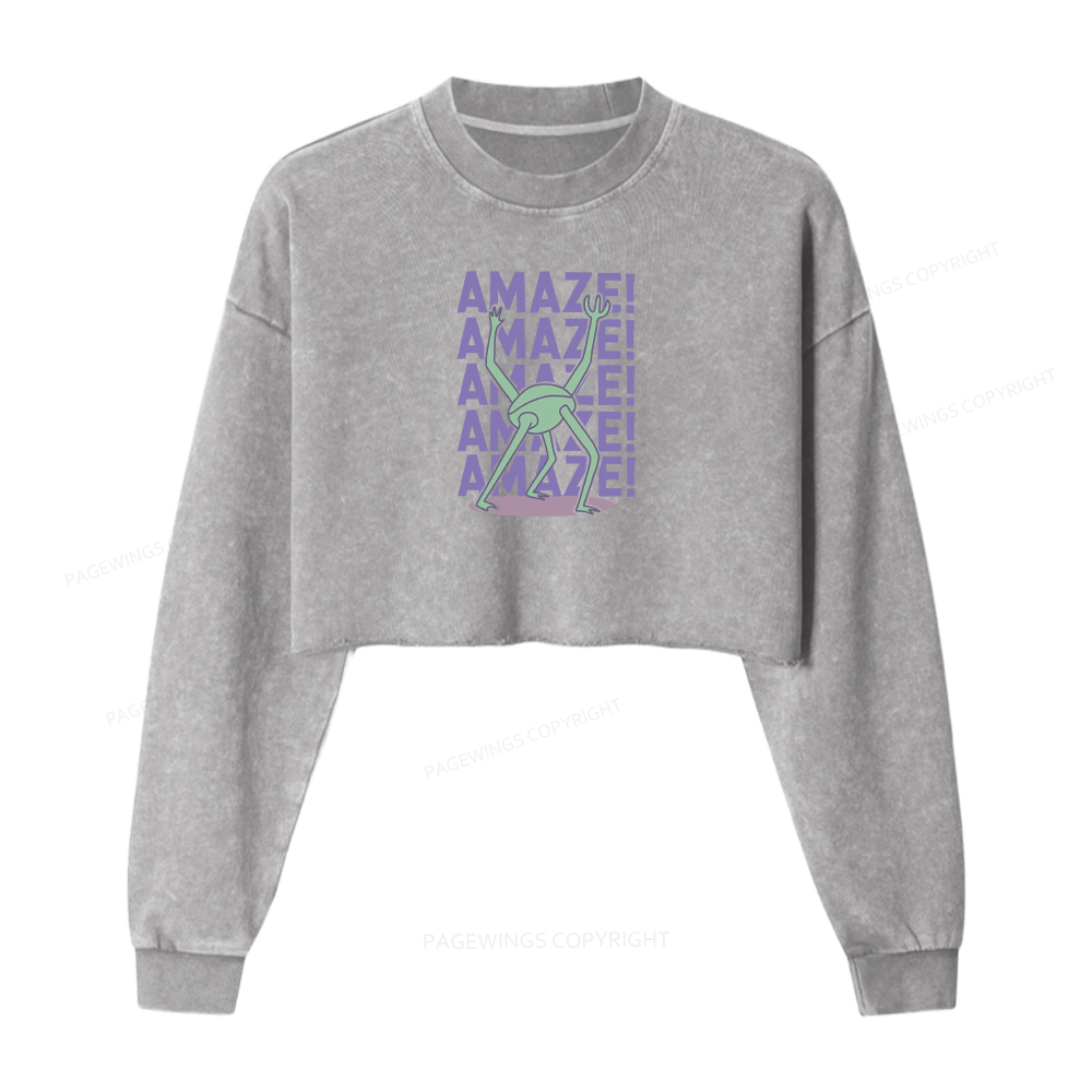 Pagewings Rocky Amaze Washed Crop Sweatshirt