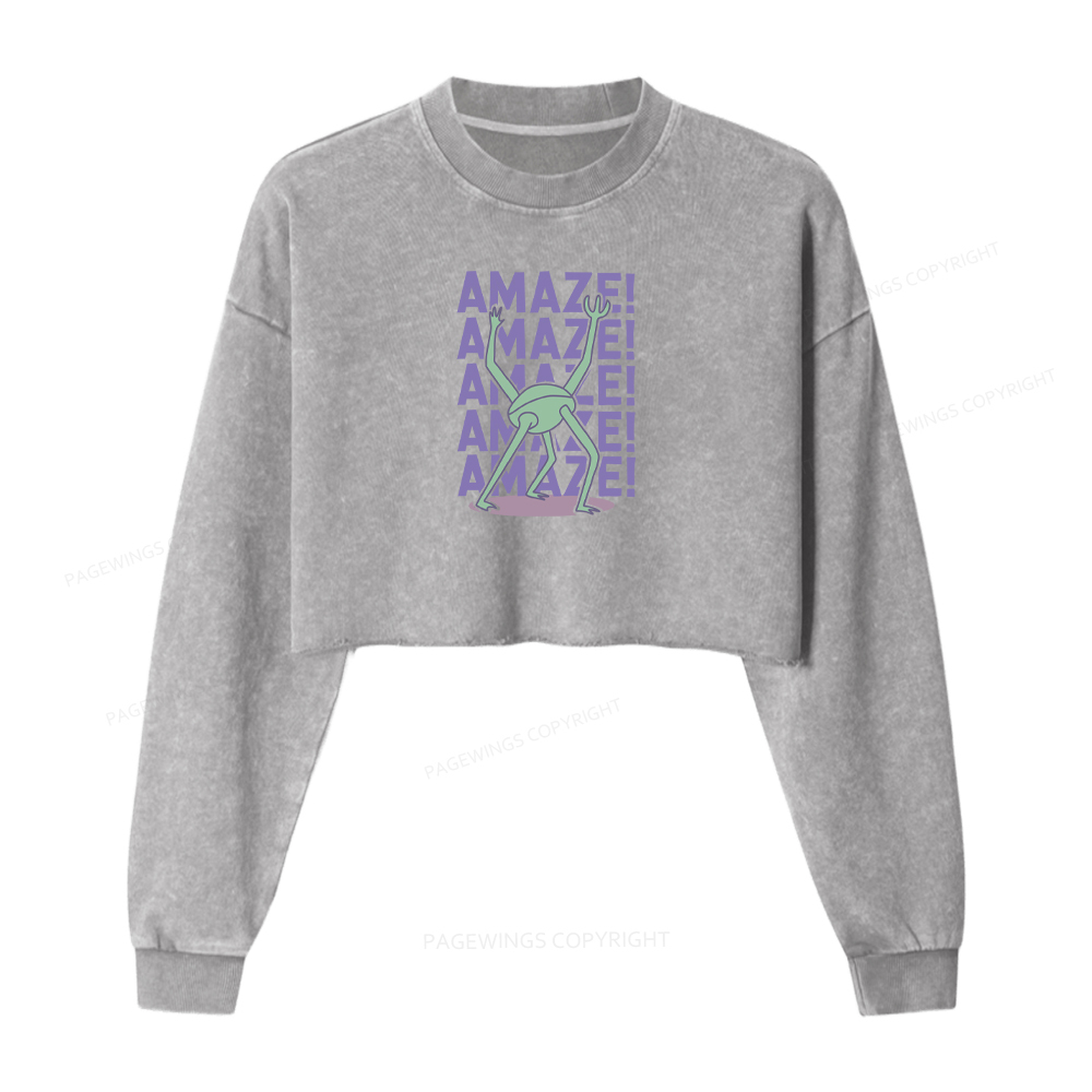 Pagewings Rocky Amaze Washed Crop Sweatshirt