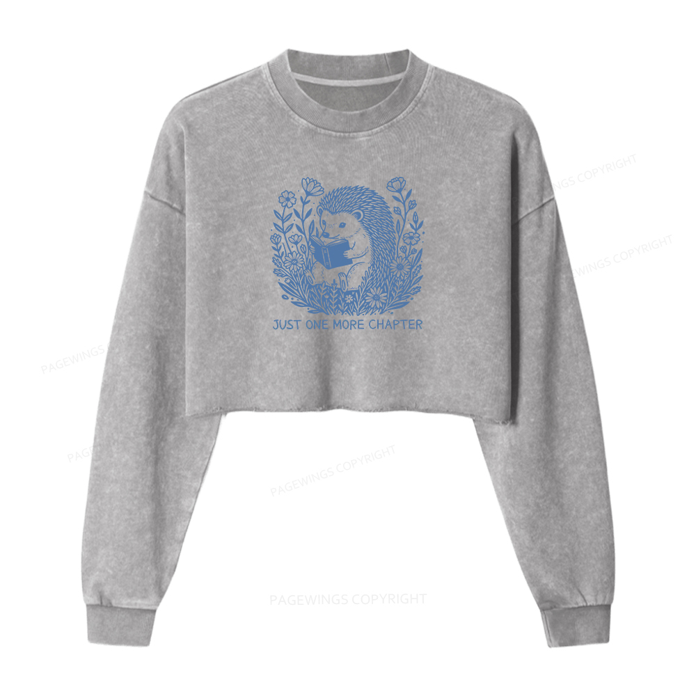 Pagewings Just One More Chapter Washed Crop Sweatshirt