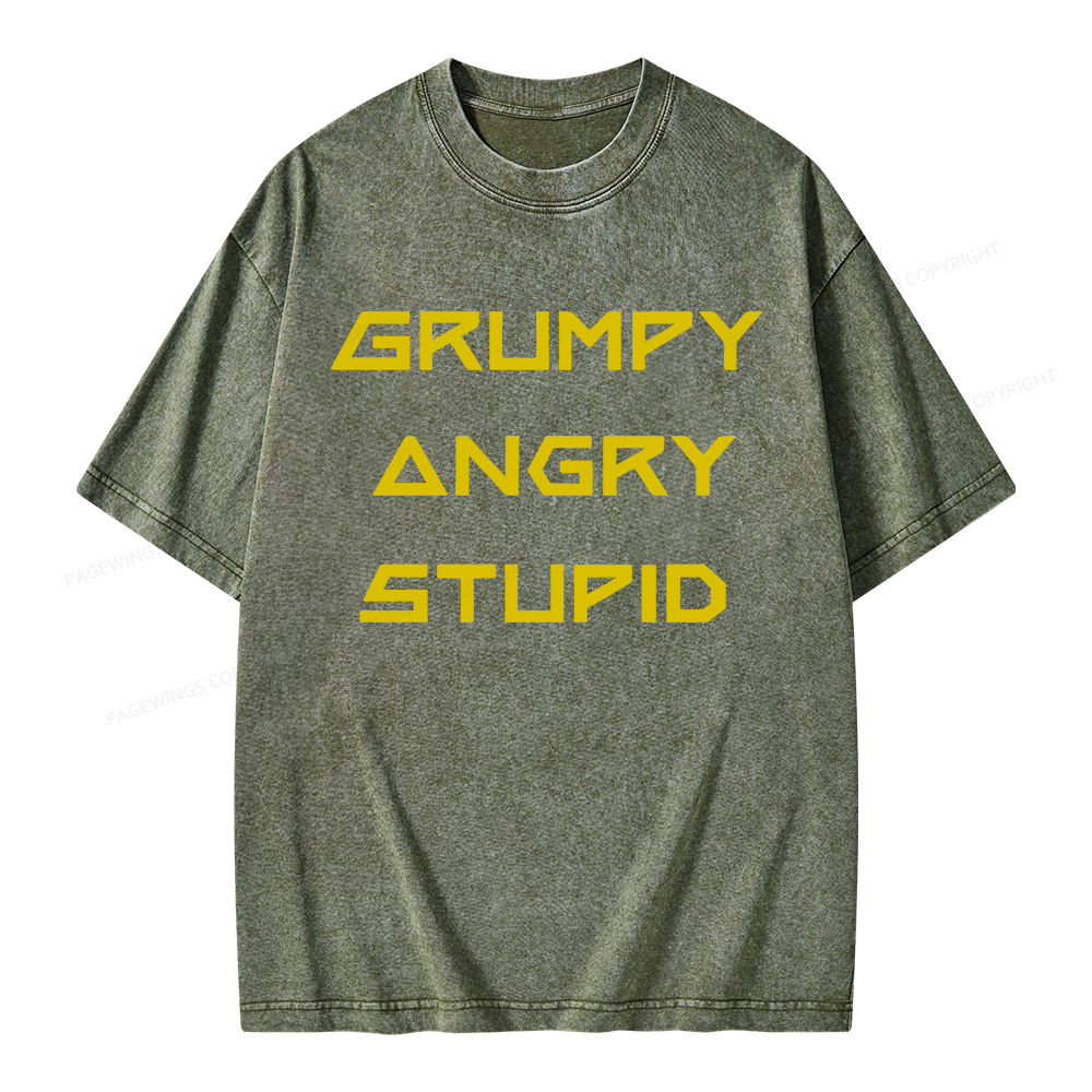 Pagewings Grumpy Angry Stupid Unisex Washed T-shirt