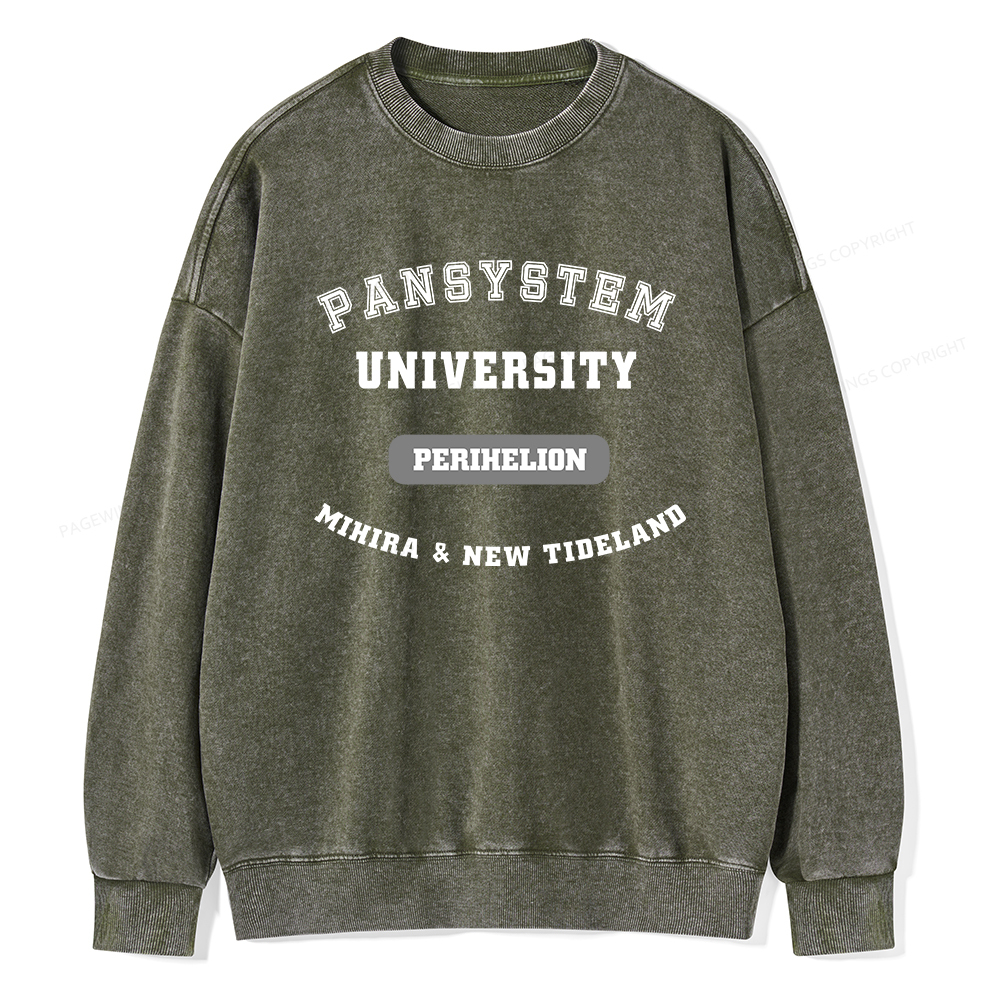 Pagewings Pansystem University Washed Sweatshirt