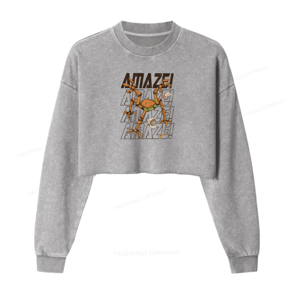 Pagewings Amaze Washed Crop Sweatshirt