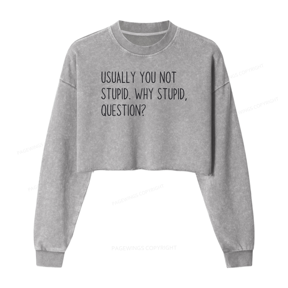 Pagewings Funny Rocky Quote Washed Crop Sweatshirt