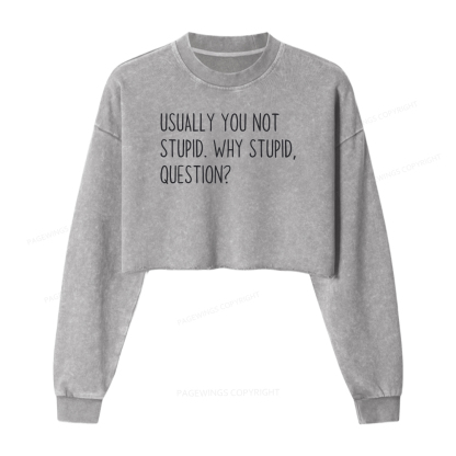 Pagewings Funny Rocky Quote Washed Crop Sweatshirt