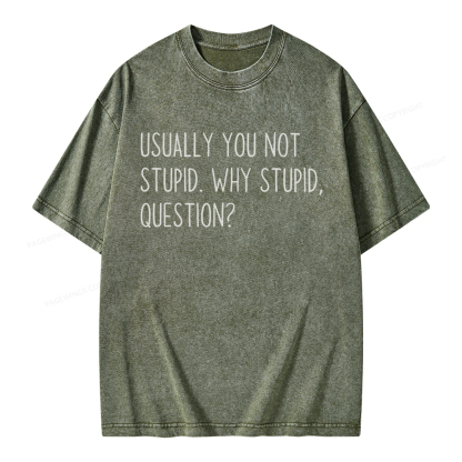 Pagewings Why Stupid Question Unisex Washed T-shirt