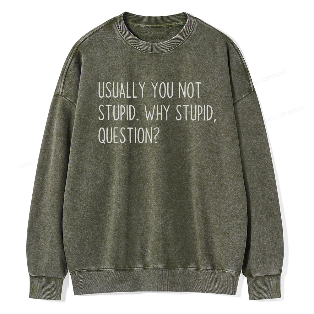 Pagewings Why Stupid Question Unisex Washed Sweatshirt