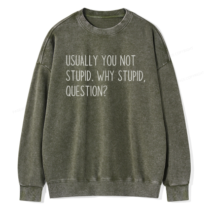 Pagewings Why Stupid Question Unisex Washed Sweatshirt