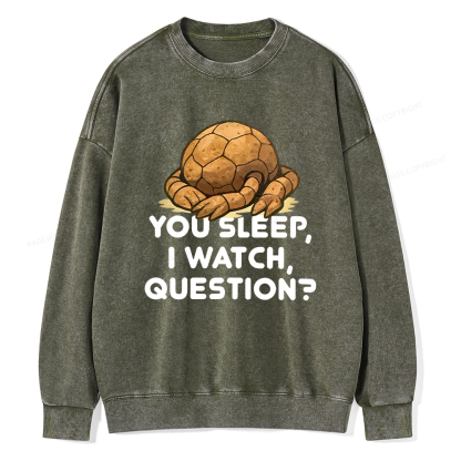 Pagewings You Sleep I Watch Question Unisex Washed Sweatshirt