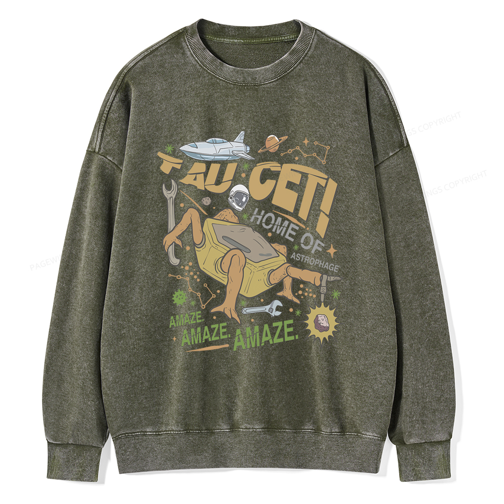 Pagewings Rocky Bookish Unisex Washed Sweatshirt