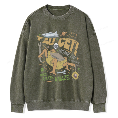 Pagewings Rocky Bookish Unisex Washed Sweatshirt