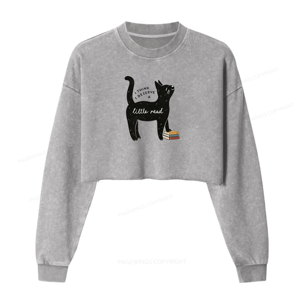 Pagewings Little Read Washed Crop Sweatshirt