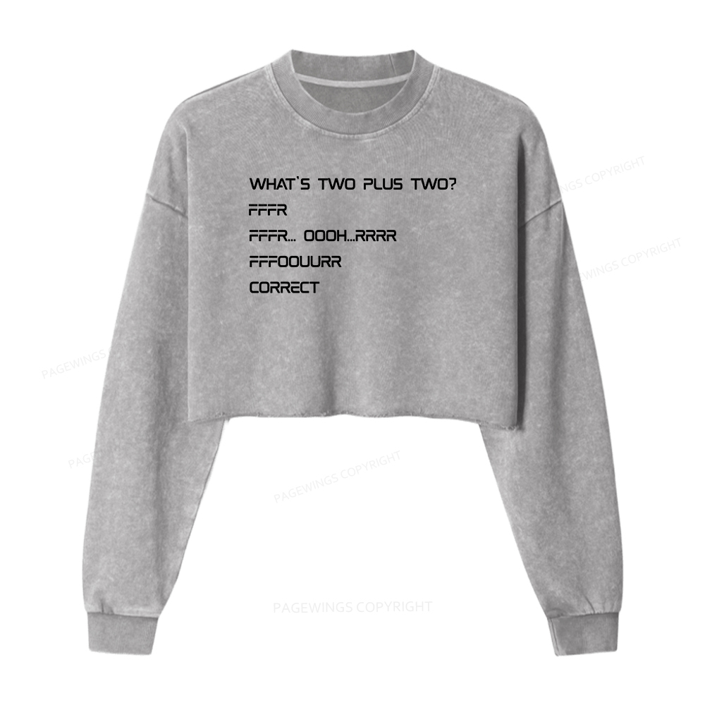 Pagewings What’s Two Plus Two Washed Crop Sweatshirt
