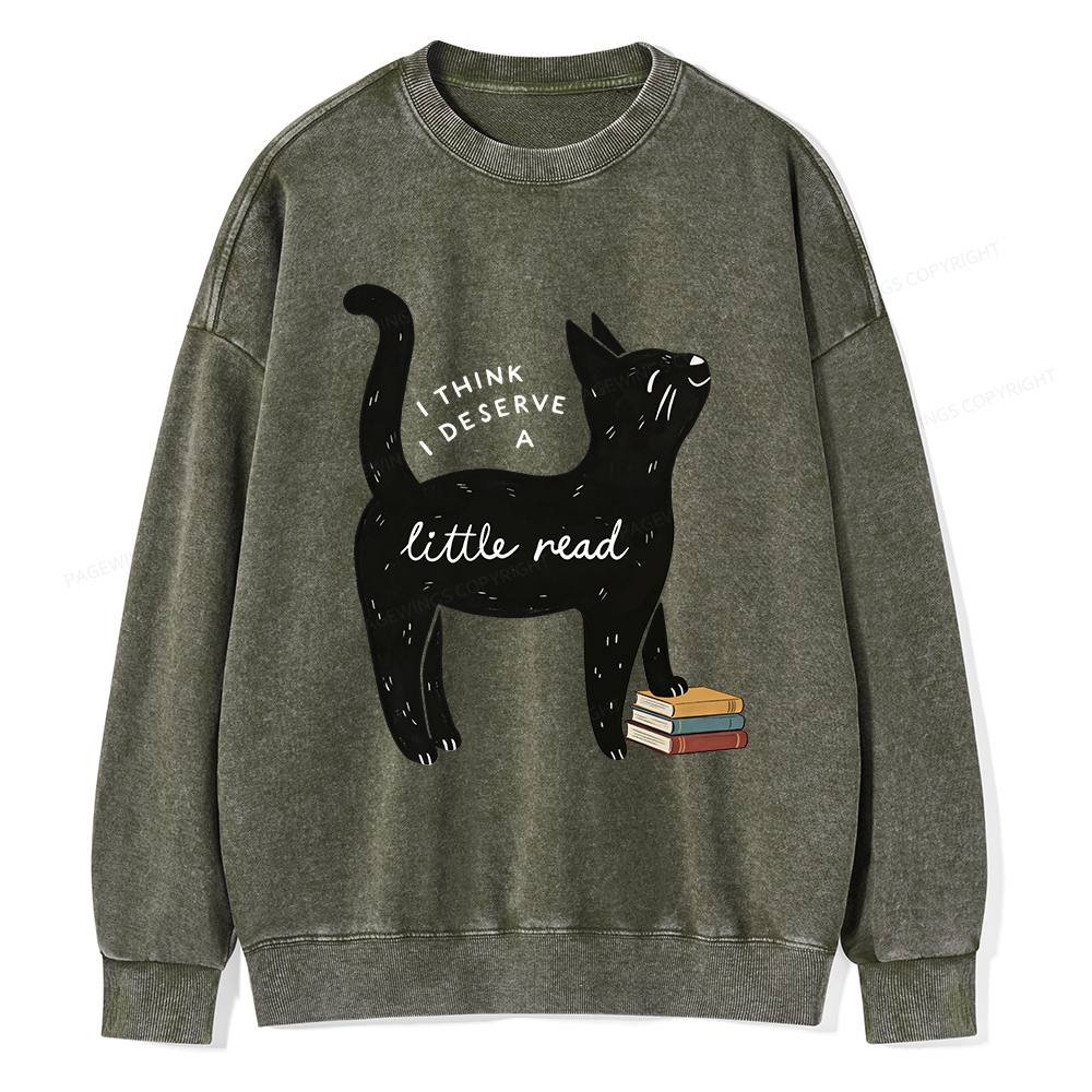Pagewings Little Read Unisex Washed Sweatshirt