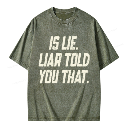 Pagewings Is Lie Liar Told You That Unisex Washed T-shirt