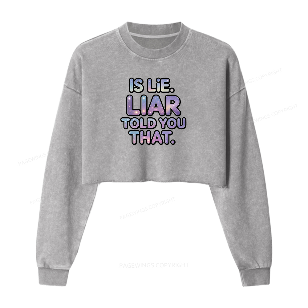 Pagewings Is Lie Liar Told You That Washed Crop Sweatshirt
