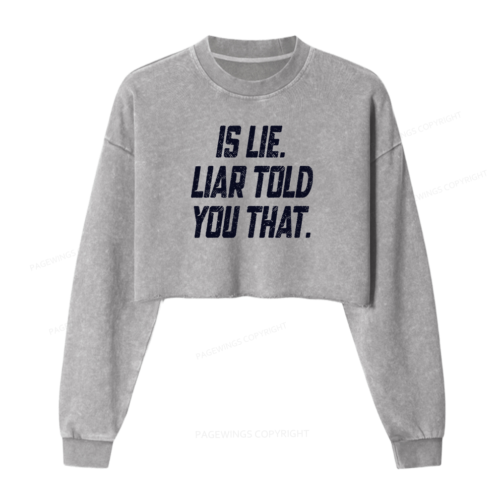 Pagewings Is Lie Liar Told You That Washed Crop Sweatshirt